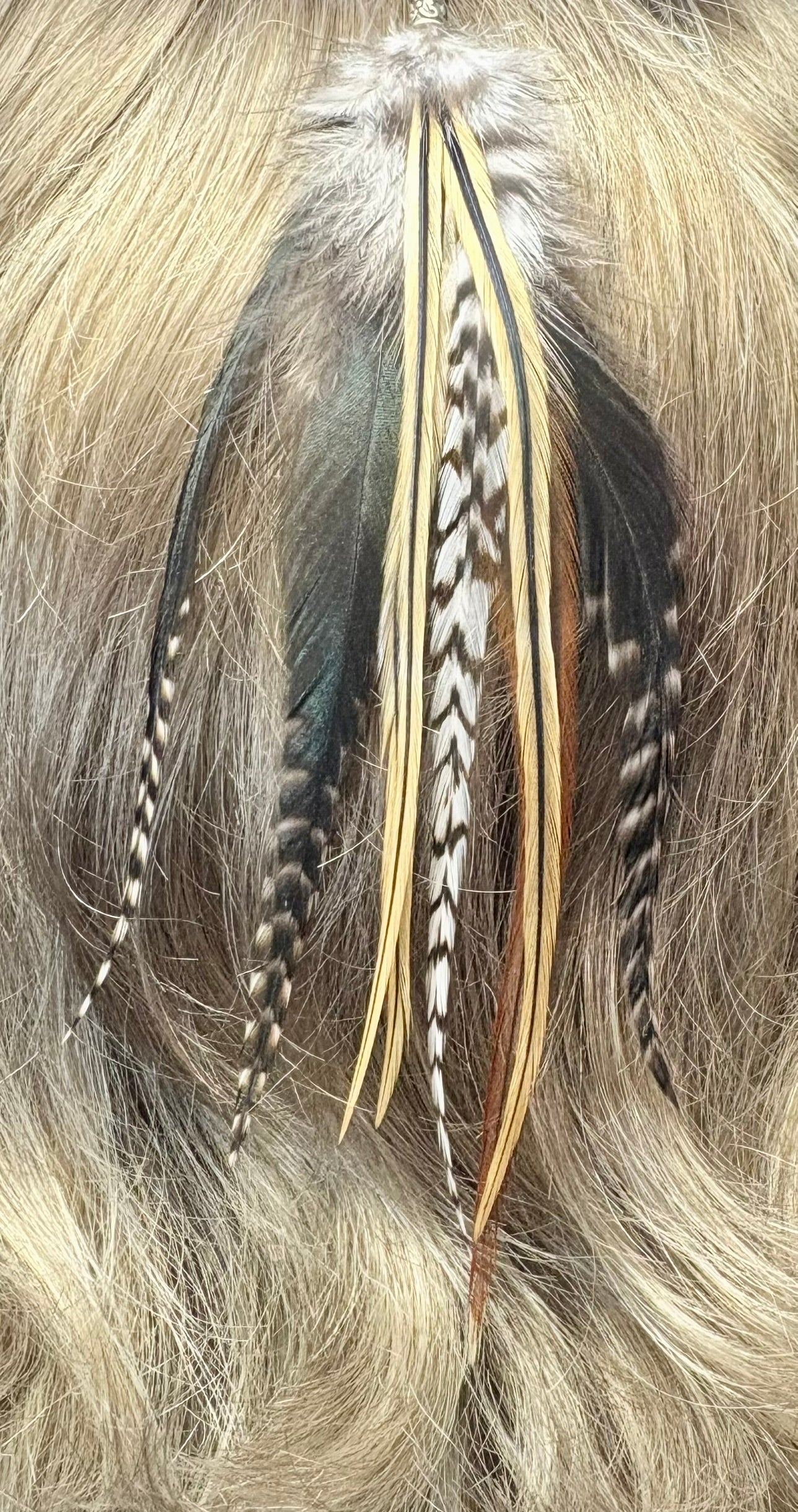 Feather Hair Xtension 1 Barrel Bead (8 Feathers)
