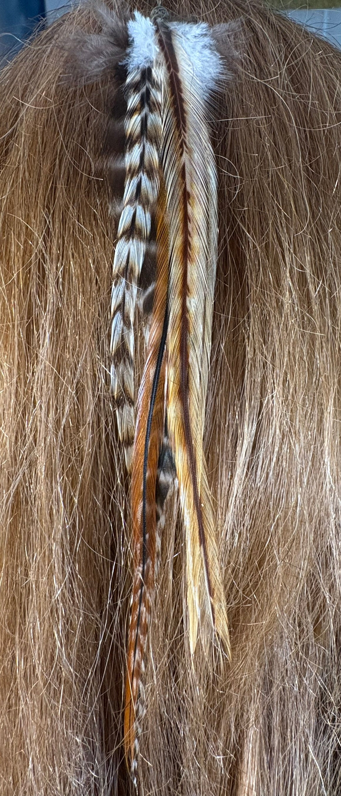 Feather Hair Xtension 5 Barrel Bead (6 Feathers)