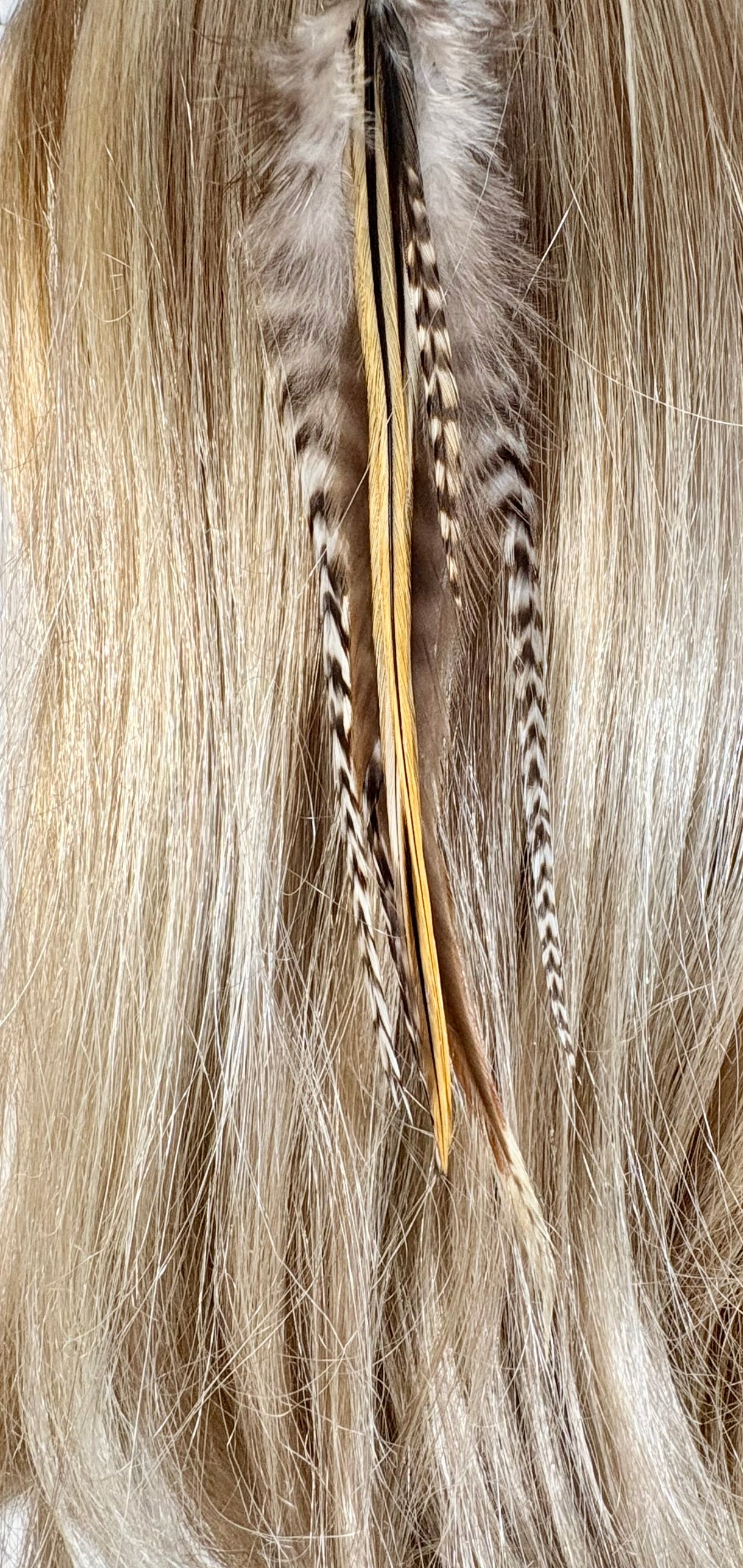 Feather Hair Xtension 6 Barrel Bead (8 Feathers)