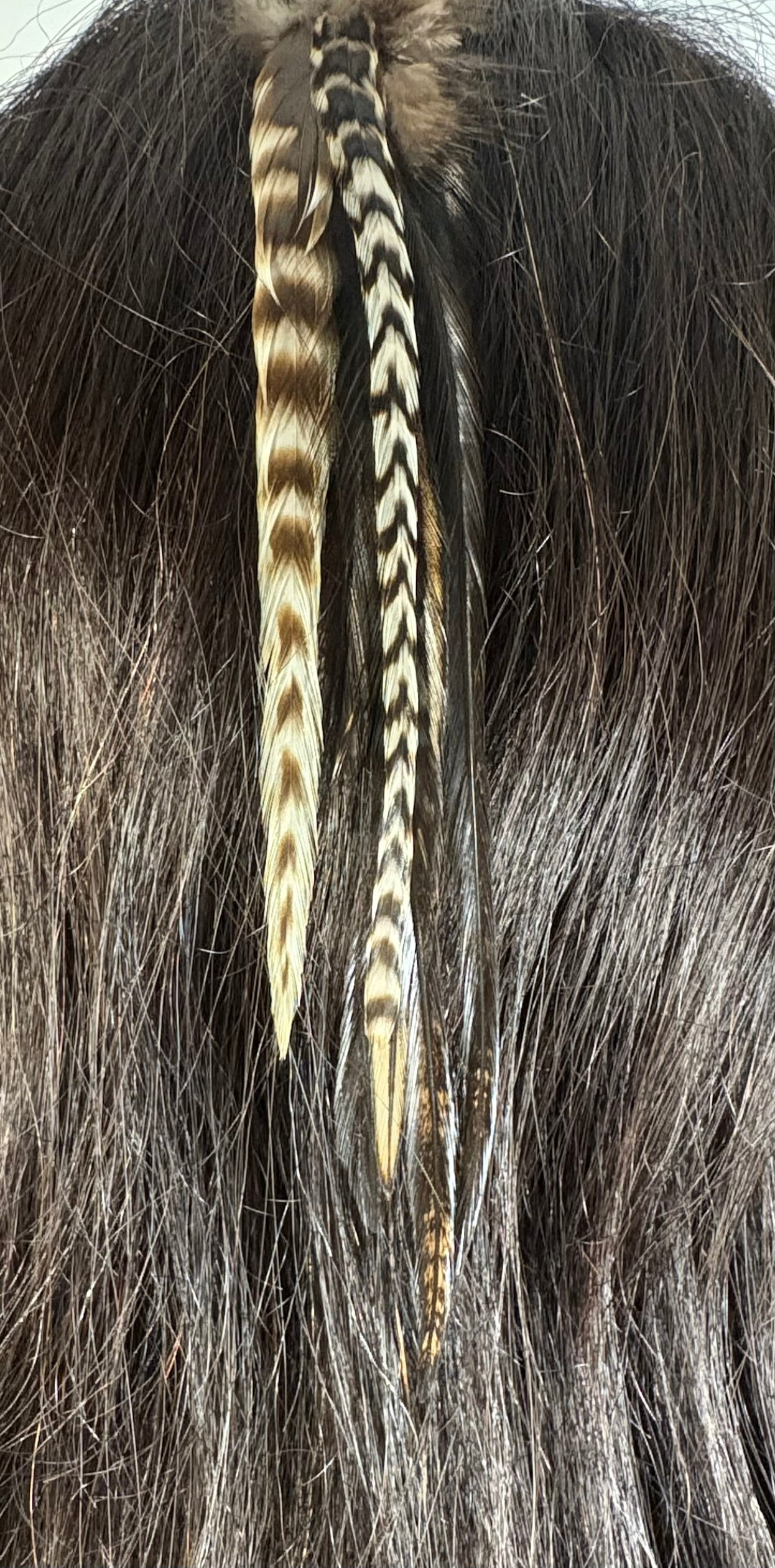 Feather Hair Xtension 14 Barrel Bead (8 Feathers)