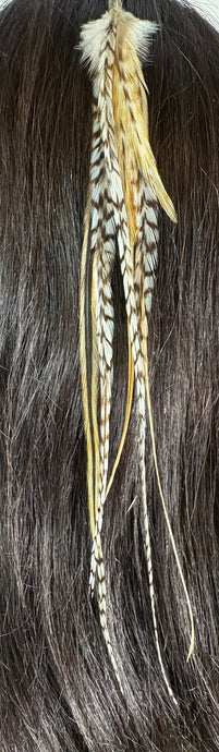 Feather Hair Xtension 24 Barrel Bead (6 Feathers)