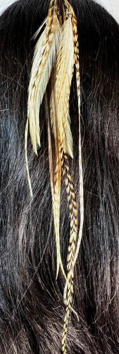 Feather Hair Xtension 50 Seed Beads Dangling Crystals (11 Feathers)