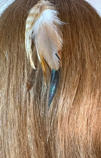 Feather Hair Xtension 60 Seed Beads( 6 Feathers)