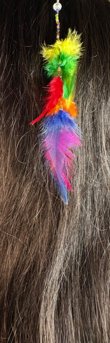 Feather Hair Xtension 58 Crystal Seed Beads (6 Feathers)