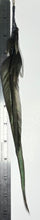 Load image into Gallery viewer, Feather Hair Xtension 73 Seed Beads (4 Feathers)