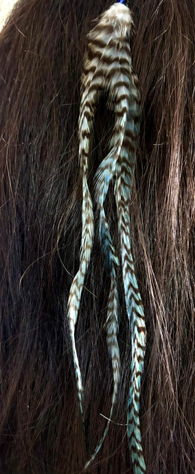 Feather Hair Xtension 81 Crystal Chained (3 Feathers)