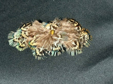 Load image into Gallery viewer, CLIP-IT Feather &amp; Gemstone Wings 10