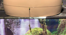 Load image into Gallery viewer, Charming Personal POWER BAND-IT Colorful Ornate WingSpan