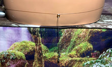 Load image into Gallery viewer, Personal POWER BAND-IT Multi-Shade Sculpted Glass Bead Array Fish